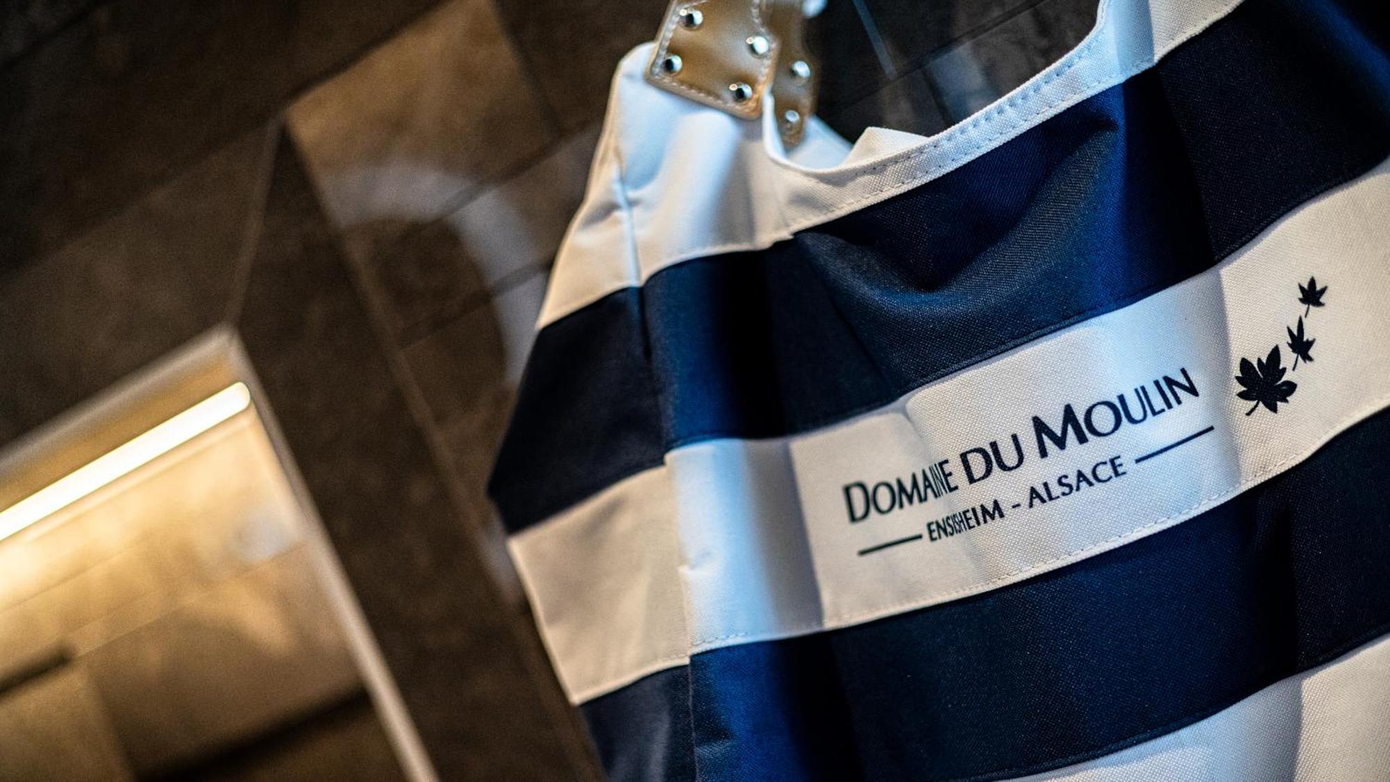 Hotel Spa Restaurant Domaine Du Moulin 엔지스하임 외부 사진